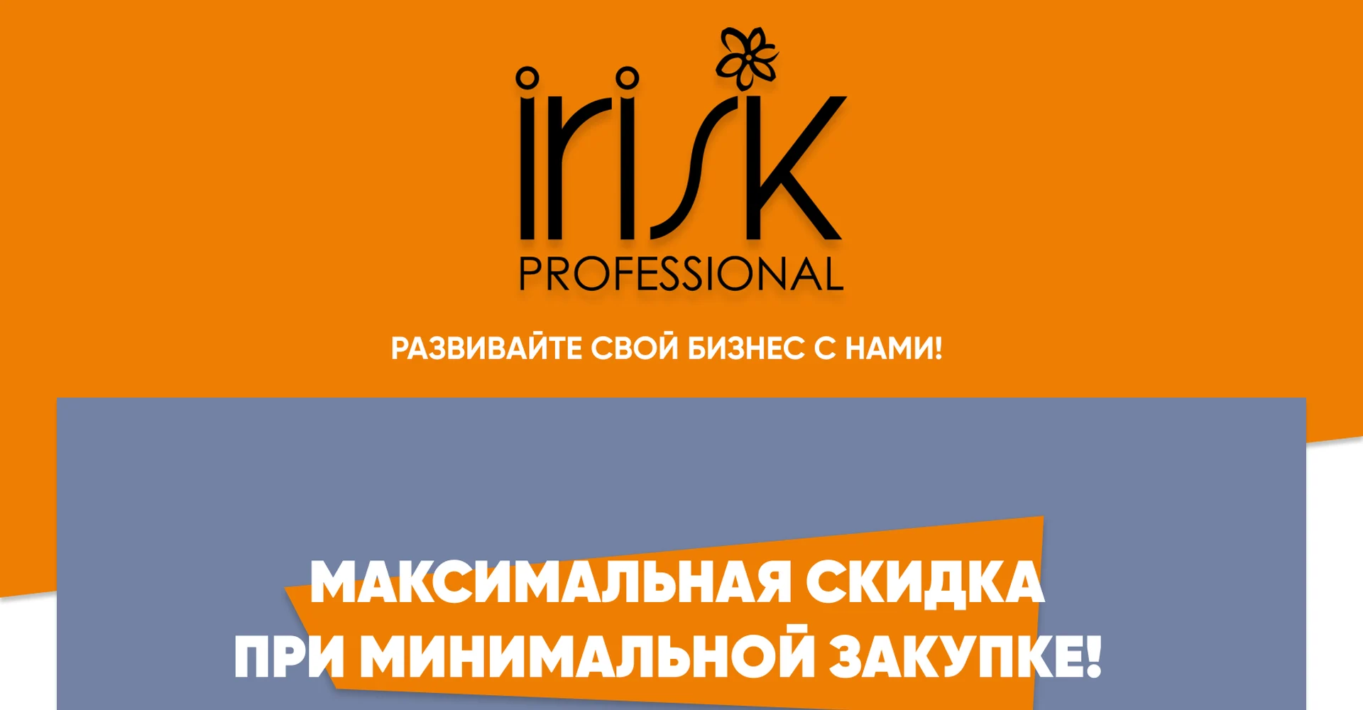 Бизнес предложение. E-mail Рассылка Irisk — макет